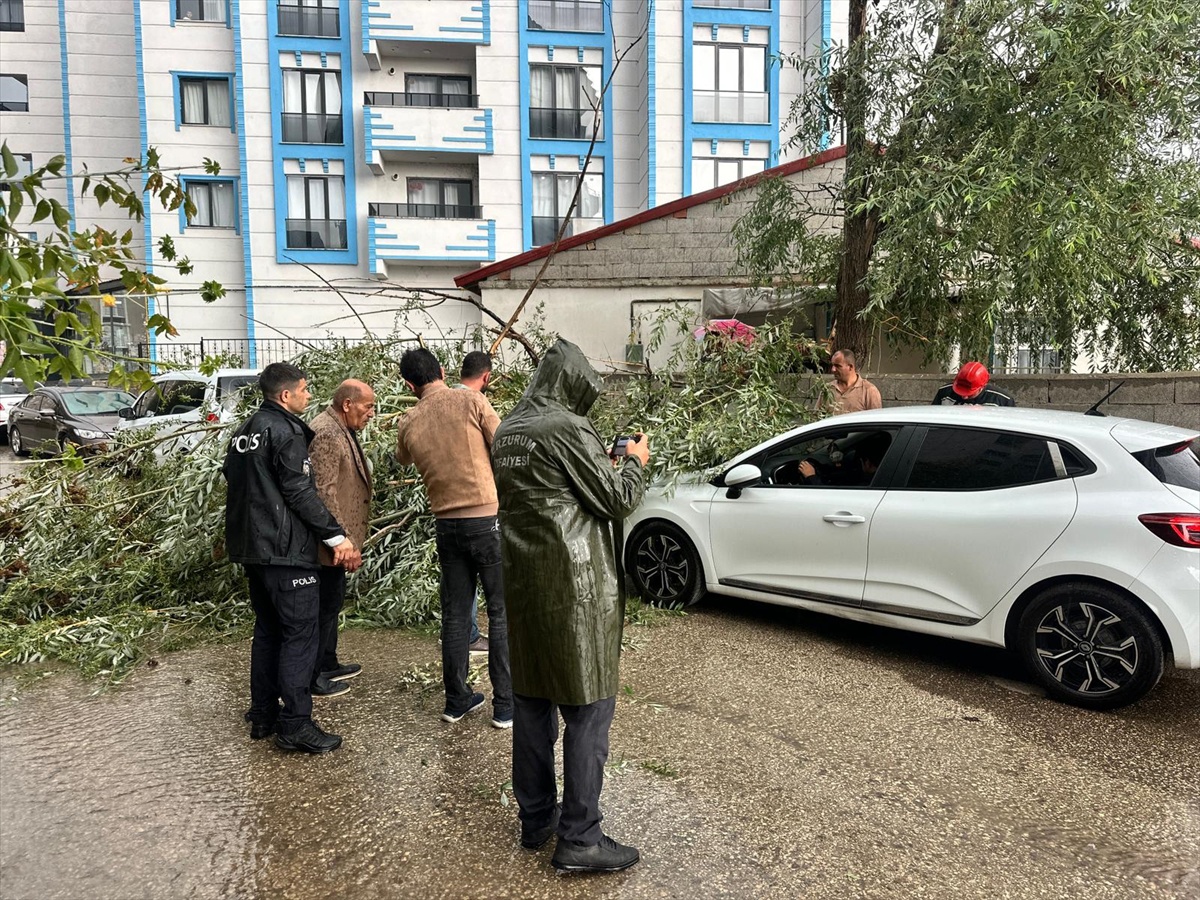 Horasan\'da Fırtına Ağaç Devrip Araçları Zarar Verdi