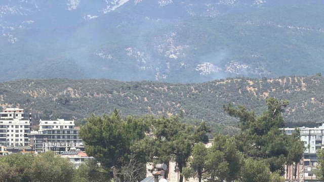 Zeytinlikte çıkan yangın Kazdağı Milli Parkı’na sıçradı