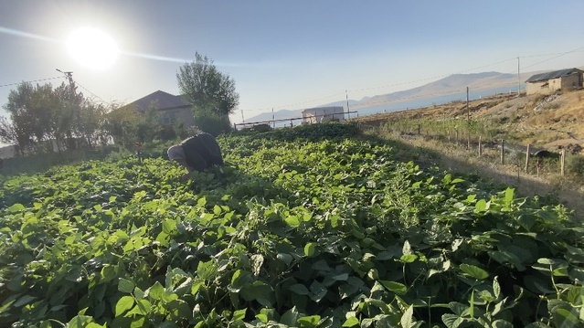 Patnos'ta Bostan Bereketi