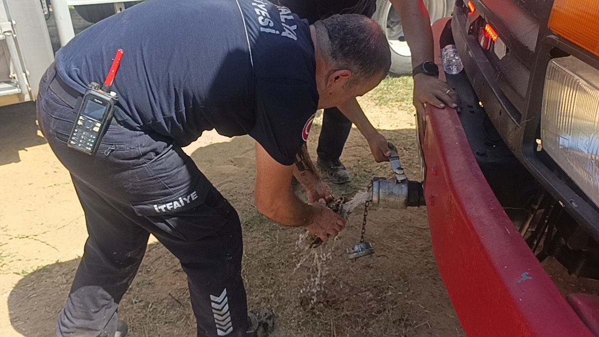 Manavgat'ta Orman Yangını ve Kaplumbağa Kurtarma