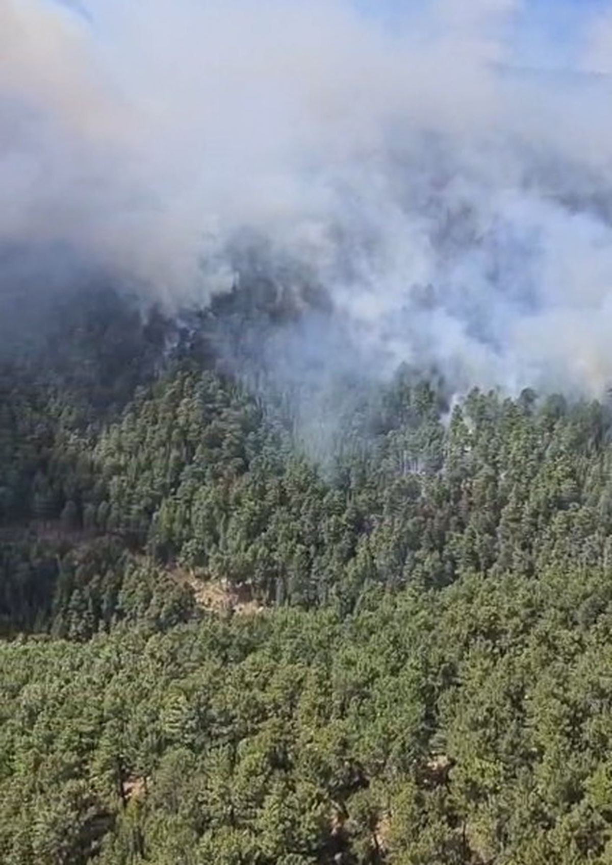 Antalya'da 38 Yangın Kontrol Altında
