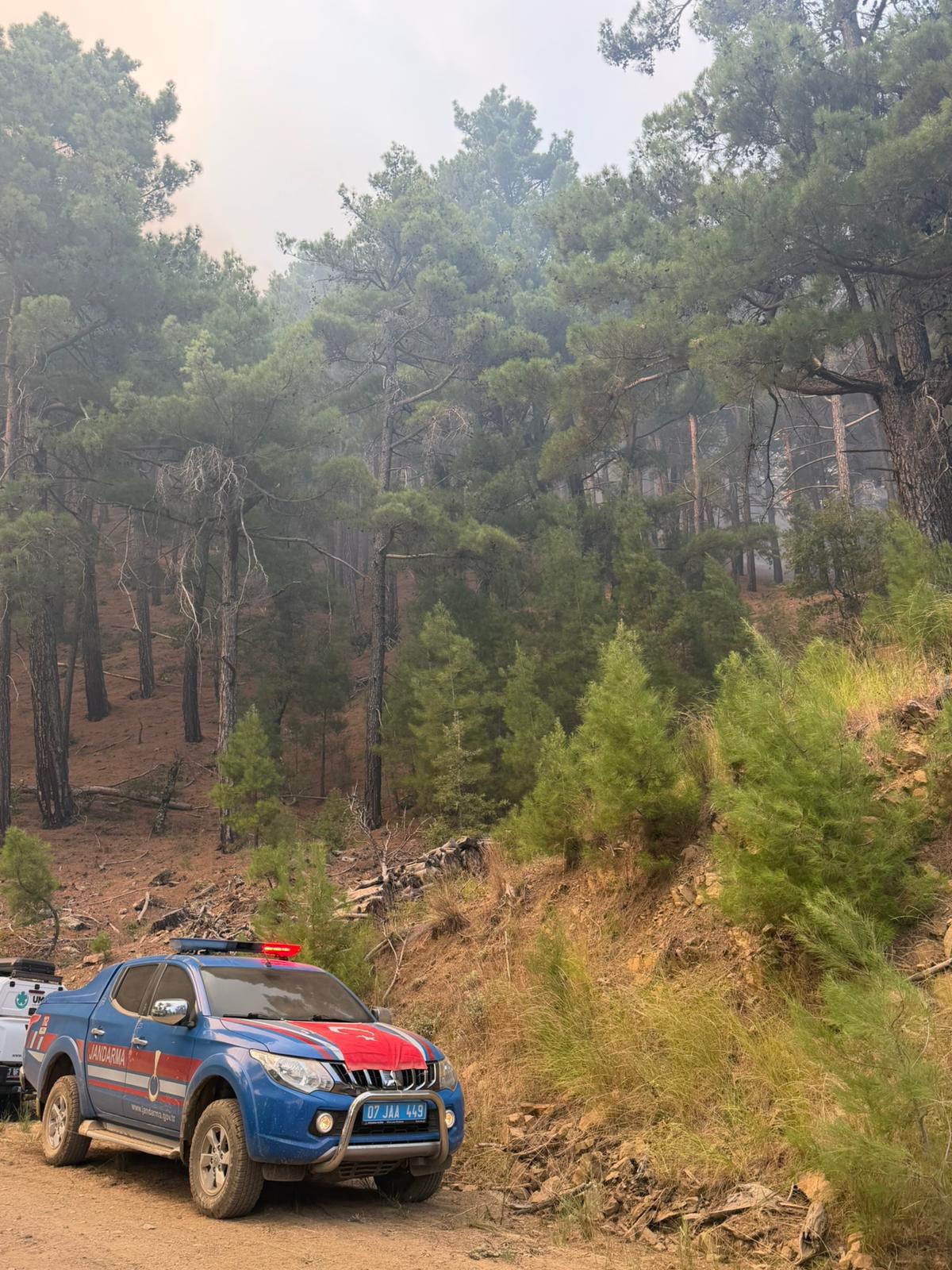 Manavgat'taki orman yangını 22 saatte kontrol altına alındı