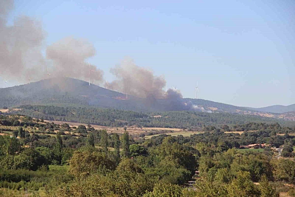Bayramiç'te Orman Yangınına Hızlı Müdahale
