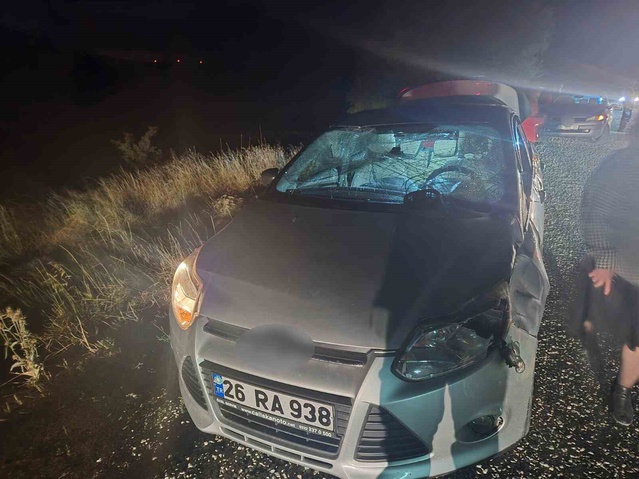 Geyik Yola Fırladı, Otomobil Çarptı