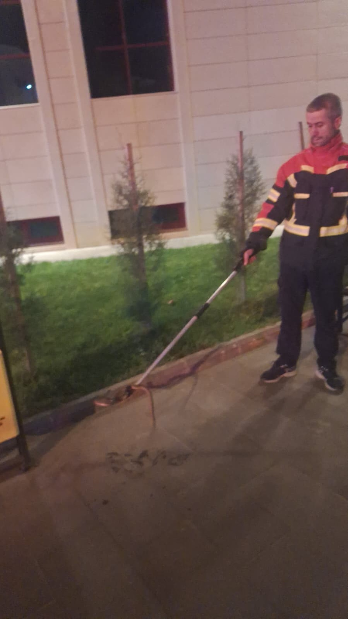 Cami Bahçesindeki Yılan İtfaiye Ekiplerince Yakalandı