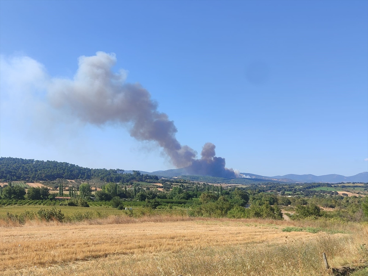 Bayramiç'te Orman Yangını