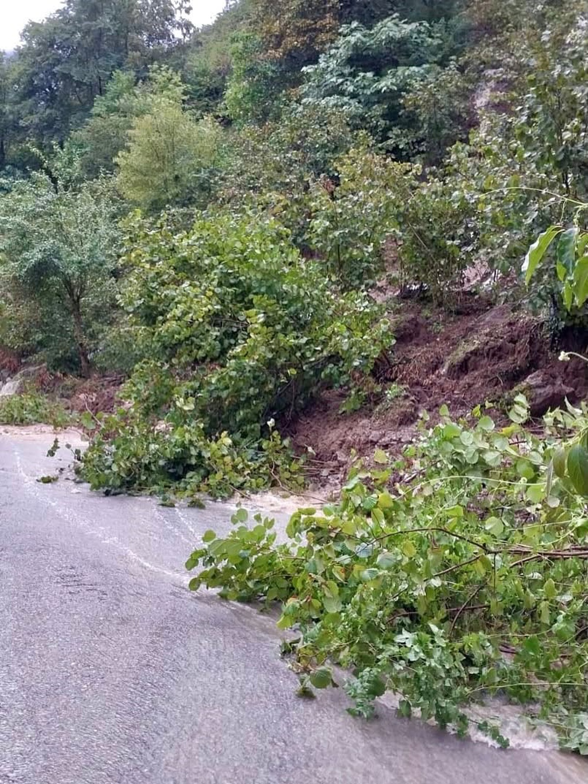 Giresun'da Sağanak Yağış Hayatı Olumsuz Etkiledi