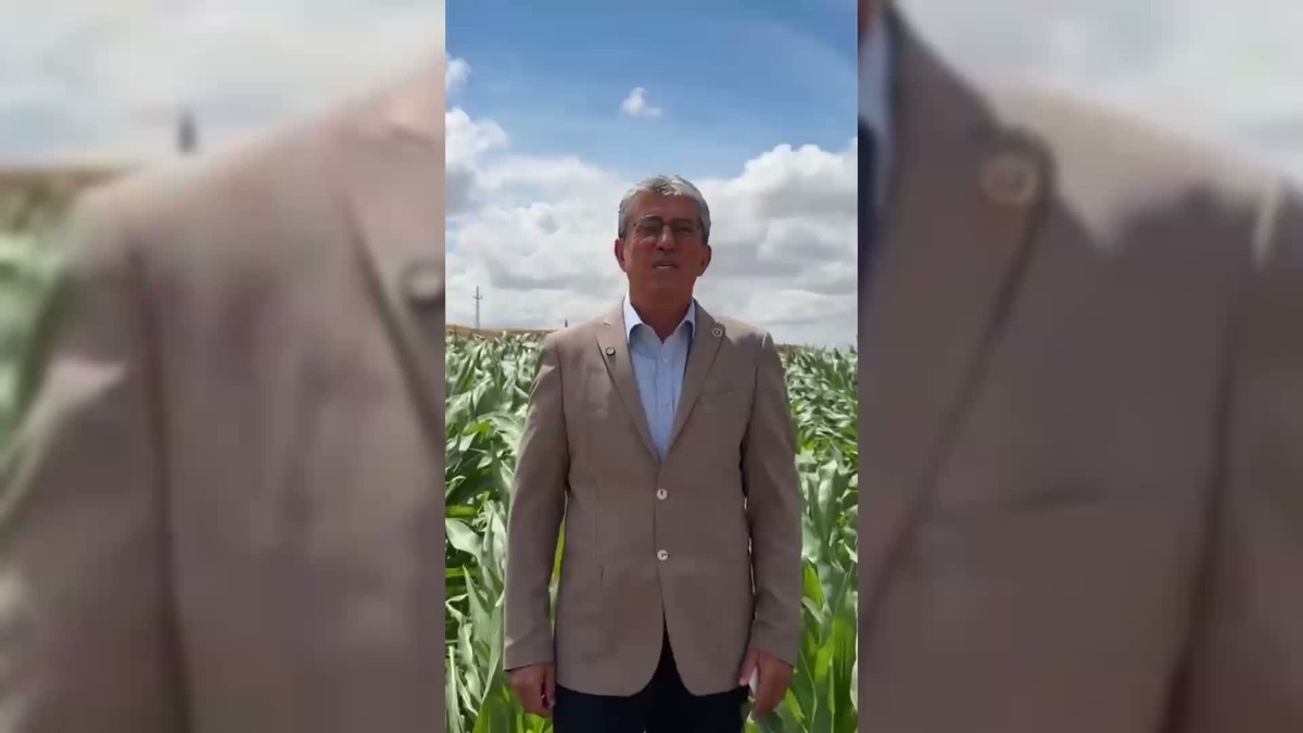Nohut Üreticilerine İthalat Eleştirisi
