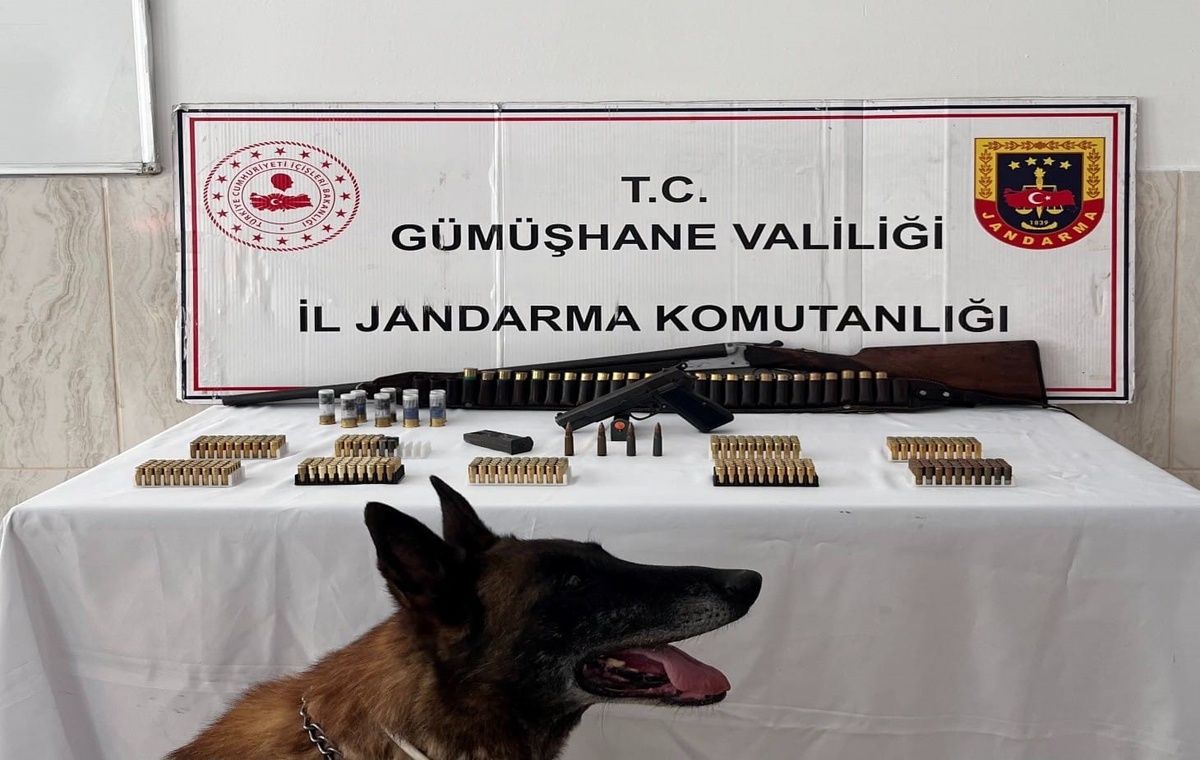 Kürtün'de Ruhsatsız Silah Operasyonu