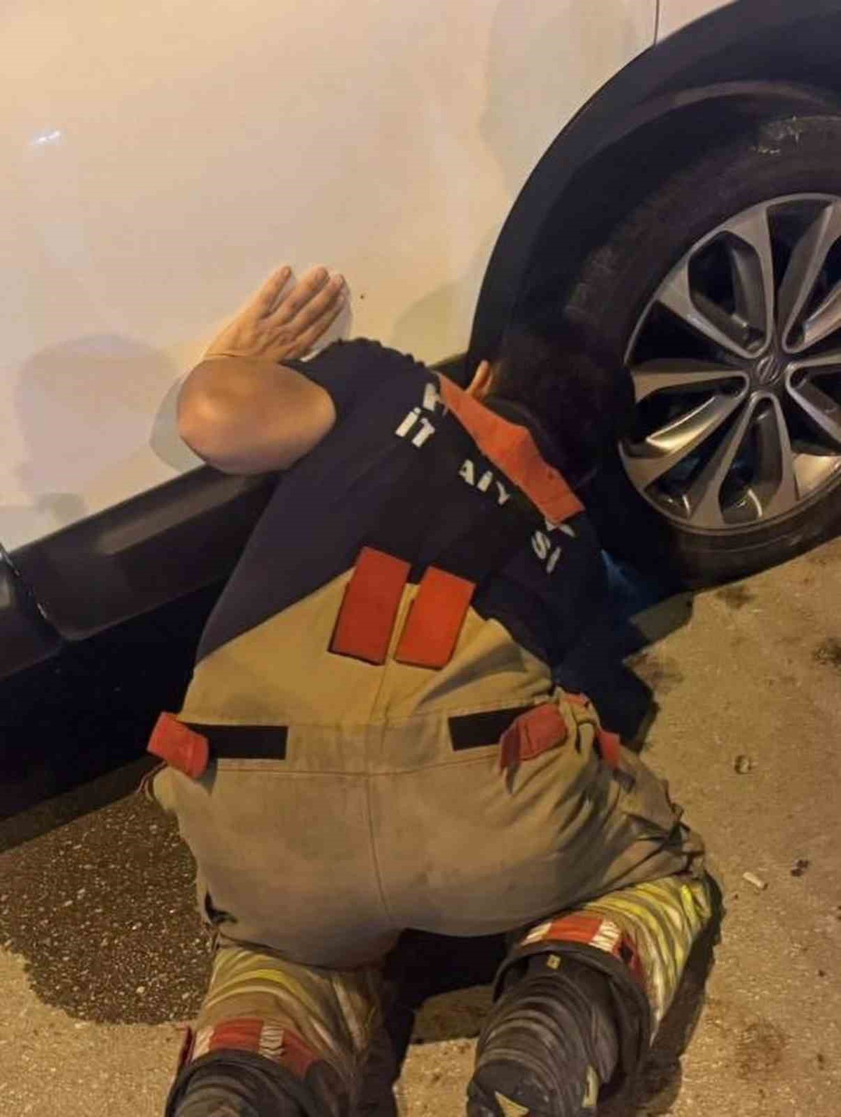 Mahsur Hayvanlar Kurtarıldı