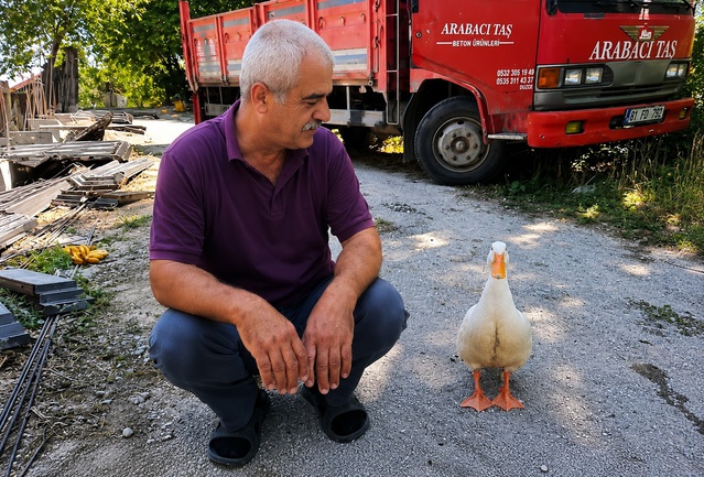 Yaşar Genç ve Ördek Dostluğu