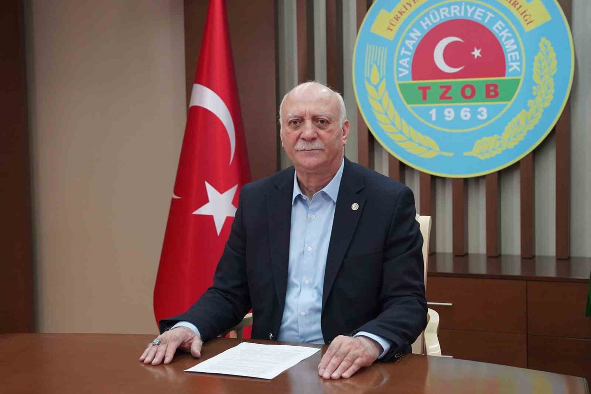 Yeni Balıkçılık Sezonu Umut Veriyor