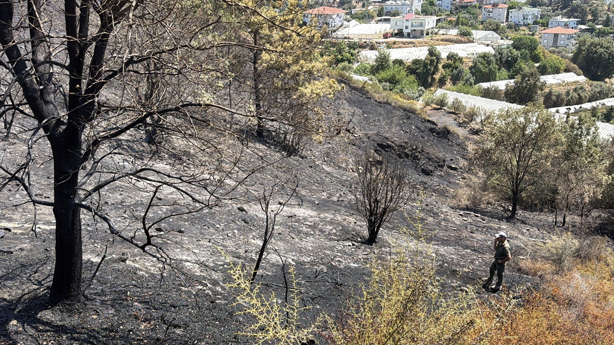 Antalya\'nın Alanya ilçesinde makilik alanda çıkan yangın, ekiplerin havadan ve karadan müdahalesiyle kısa sürede söndürüldü; 10 dönüm alan zarar gördü