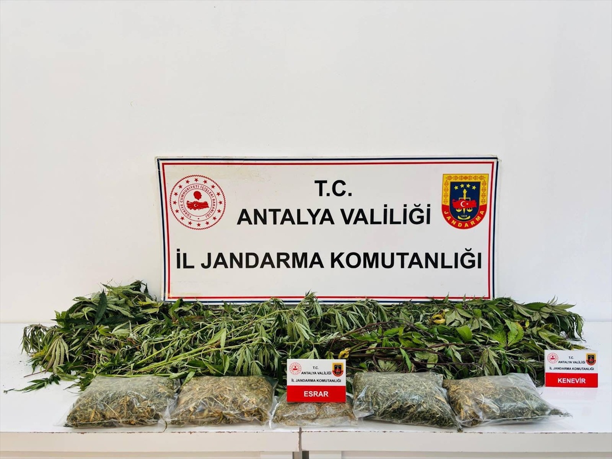 Alanya'da Uyuşturucu Operasyonu: 1 Kişi Gözaltına Alındı, 2 Kilo 642 Gram Esrar Ele Geçirildi