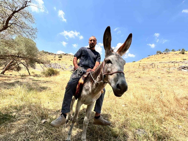 Ankara’da film gibi olay: Eşeğe araç muamelesi yapıldı