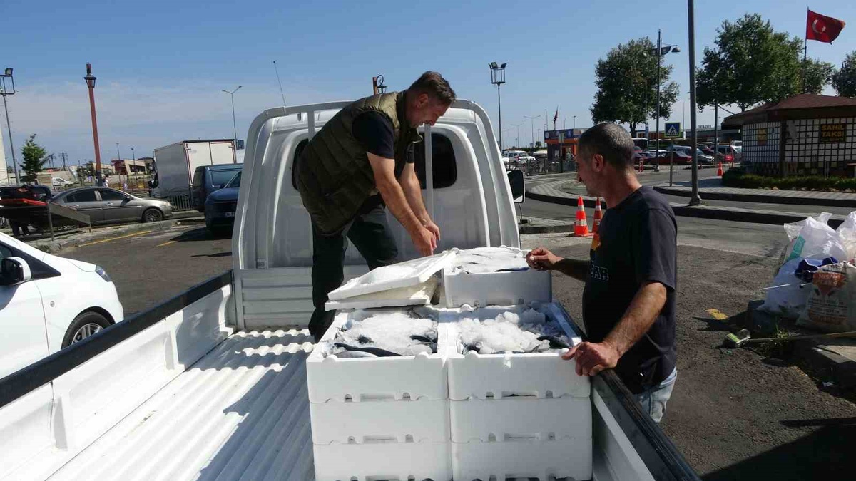 Trabzon'da yeni sezonun ilk palamutları tezgahlarda: Boyu 300-400 gram, fiyatı 125-150 TL arasında