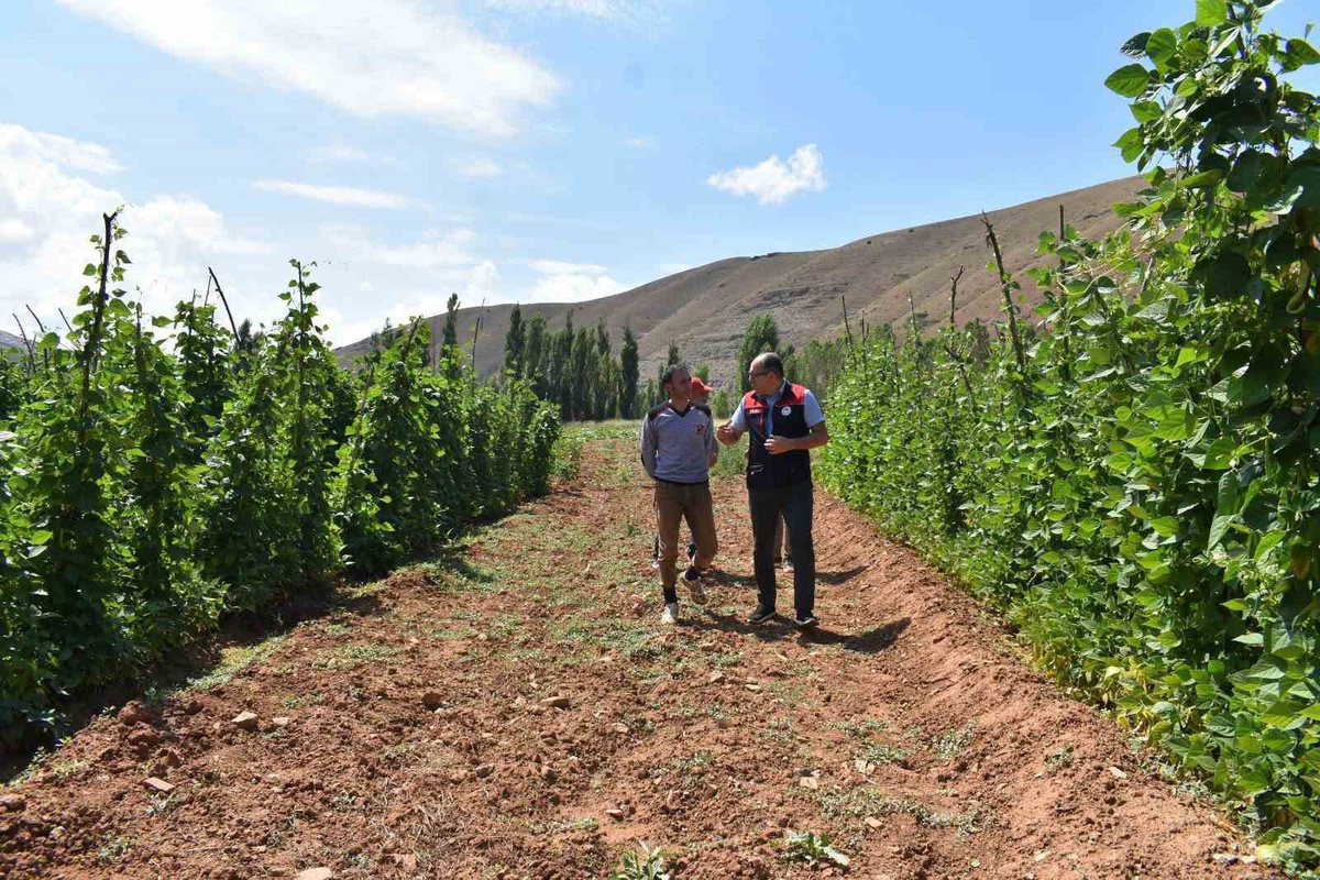 Bayburt'ta Tarımsal Üretim Ziyaretleri