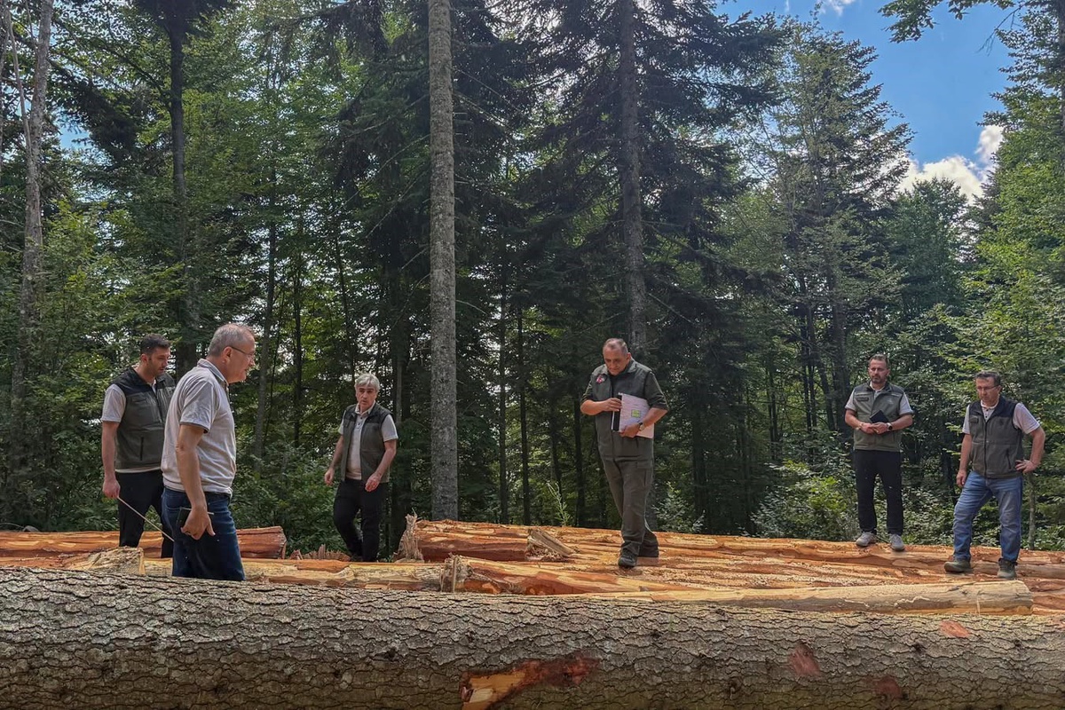 Bolu Orman Bölge Müdürü Kanbur, orman işletme sahalarında bakım ve üretim çalışmalarını yerinde denetledi