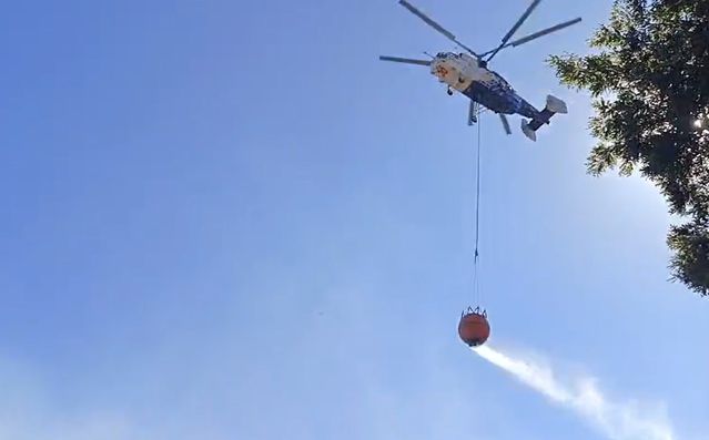 Bursa'nın İznik ilçesinde tarım arazisinden ormana sıçrayan yangına ekipler havadan ve karadan müdahale ediyor