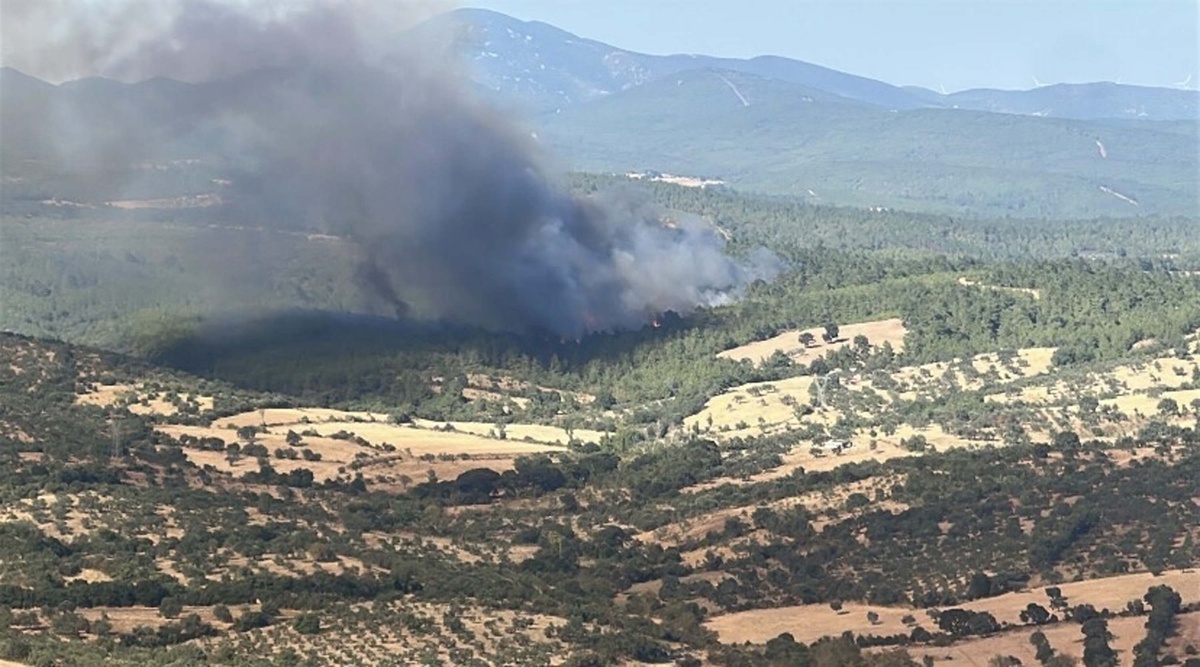 Çanakkale'nin Bayramiç ilçesindeki orman yangınında 8 hektar alan kül oldu