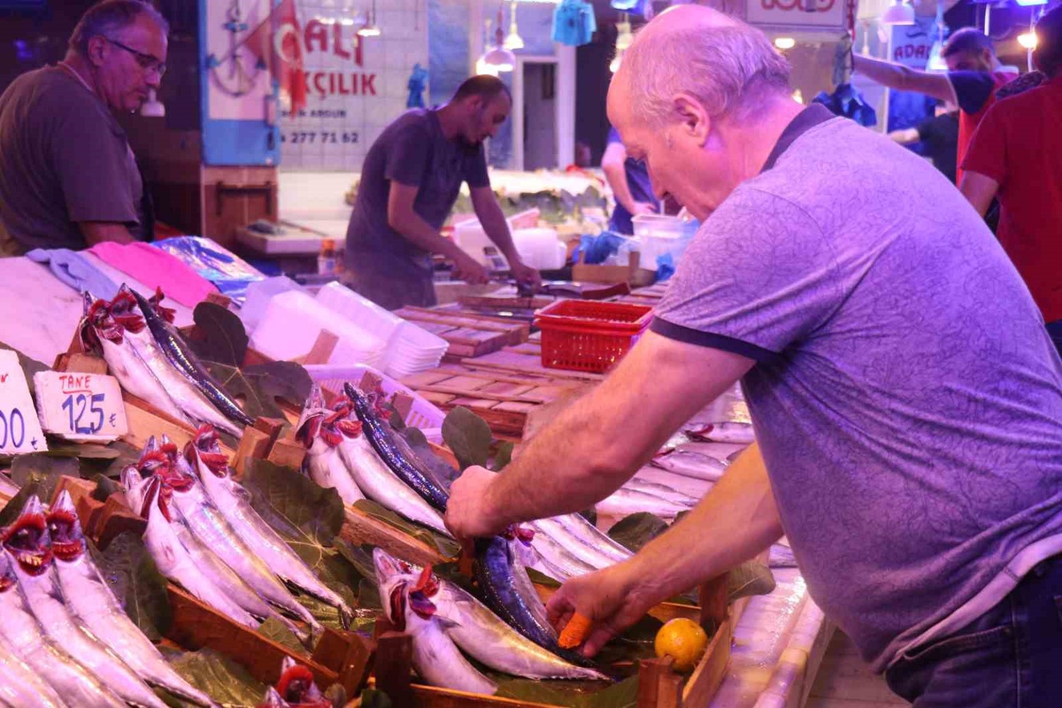 Adapazarı'nda balıkçıların yüzünü güldüren bolluk: Tezgahlar palamut ve hamsiyle doldu, palamut 100 lirada...