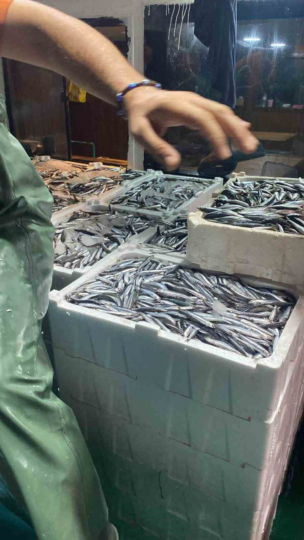 Didim'de Balıkçılık Denetimleri Başladı