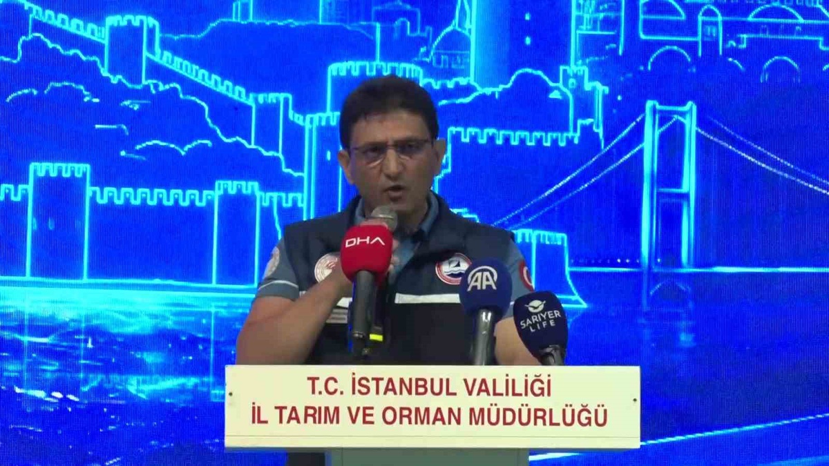 İstanbul'da Balıkçılık Sezonu Açıldı