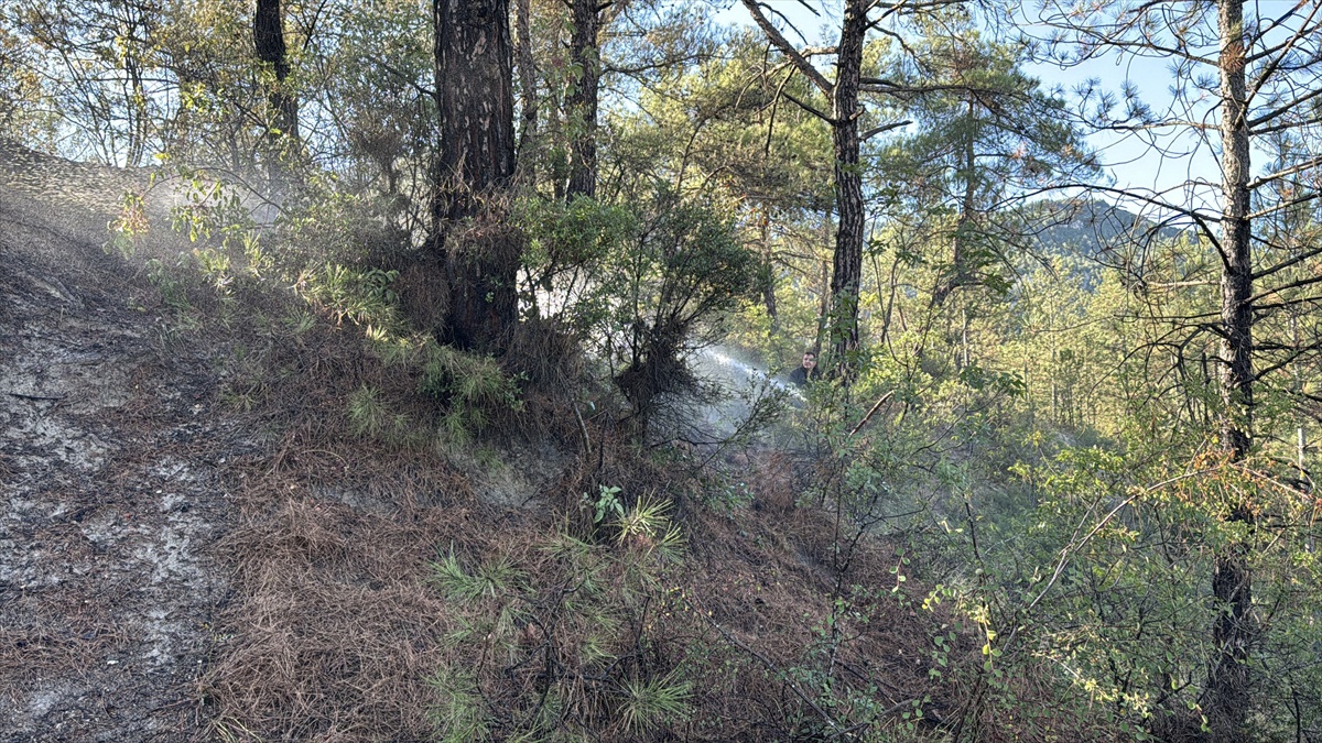 Karabük'ün Kent Ormanı mevkisindeki yangın, itfaiye ve arazözlerle kontrol altına alındı