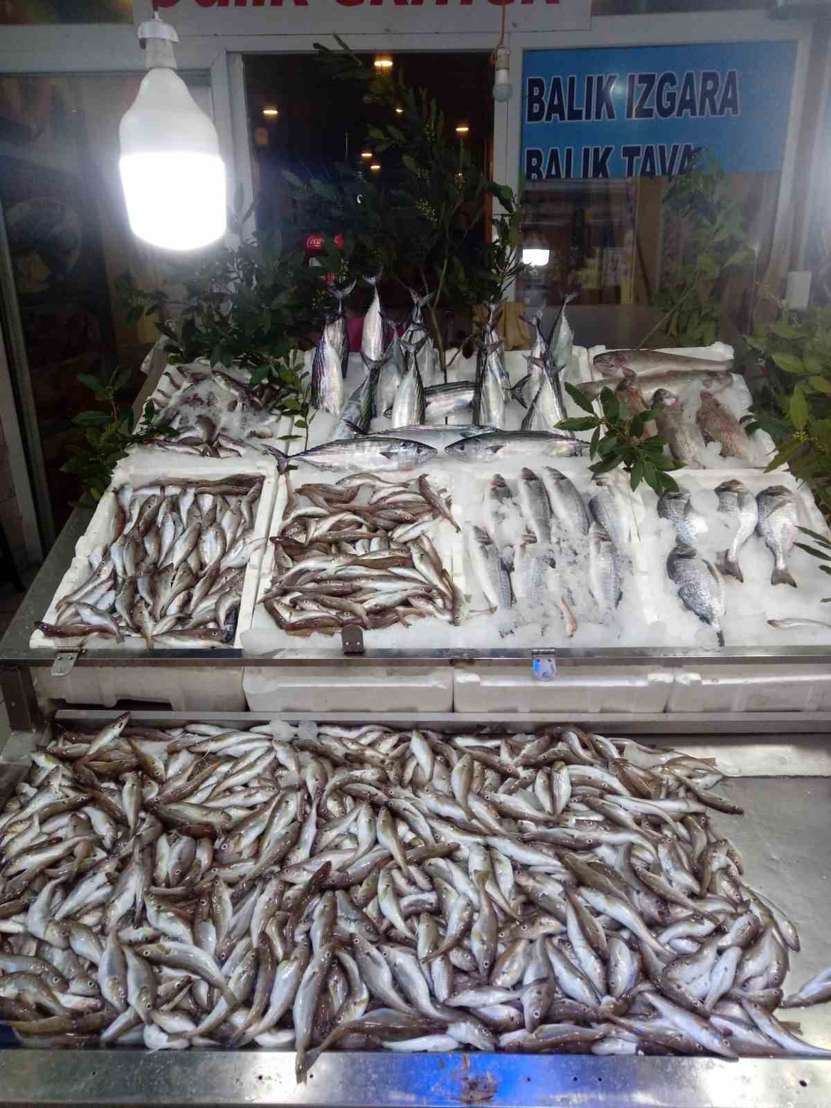 Sinop'un İnceburun açıklarında sezonun ilk trol avında 20 kasa mezgit çıktı: Balıkçı Kadir Alabaş memnun