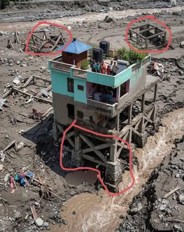 Ölü sayısı her geçen gün artarken ayakta kalan yeşil evin sırrı çözüldü