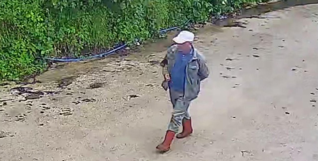 Ordu'nun Aybastı ilçesinde kaybolan 56 yaşındaki Eyüp Seçgin için AFAD ve jandarma seferber oldu