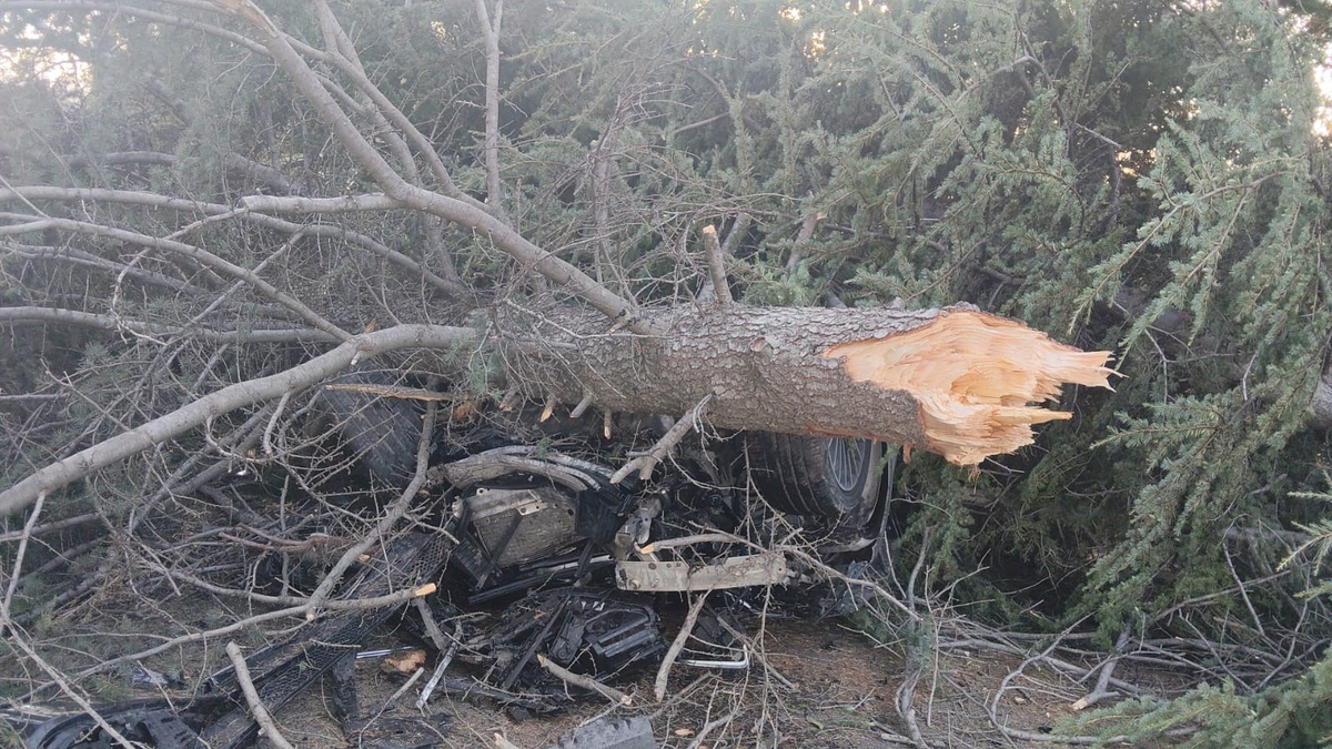 Elazığ'da Sarıçubuk Köyü Mevkiinde Otomobil Ağaca Çarpıp Ters Döndü: 1 Yaralı