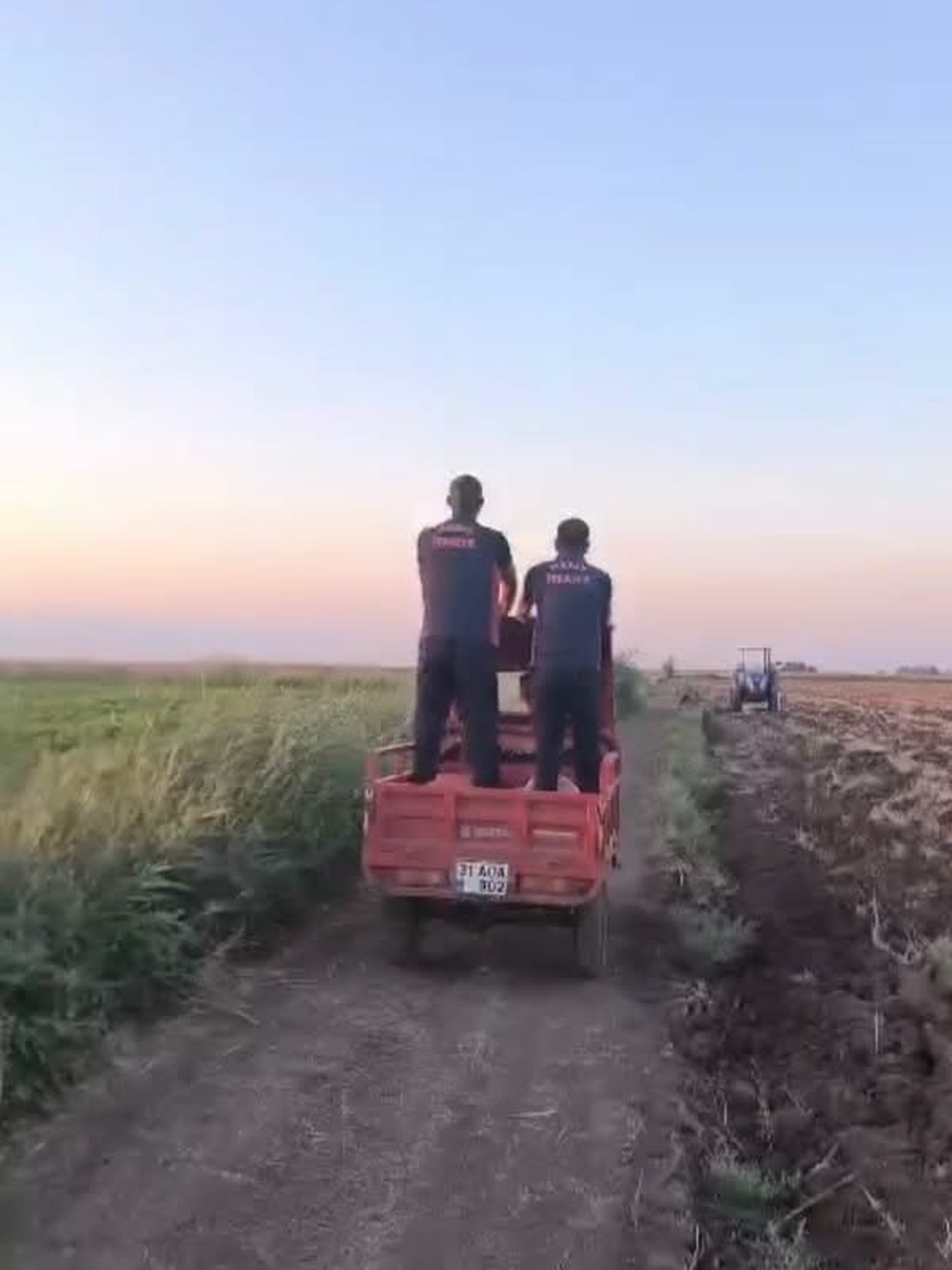 Hatay'ın Reyhanlı ilçesinde bataklığa saplanan inek, itfaiye ekiplerinin çalışmasıyla kurtarılıp veteriner...