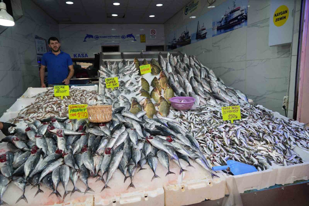 Karadeniz'de palamut sezonu bereketli açıldı: Tezgahlarda tanesi 150 TL'den satışta