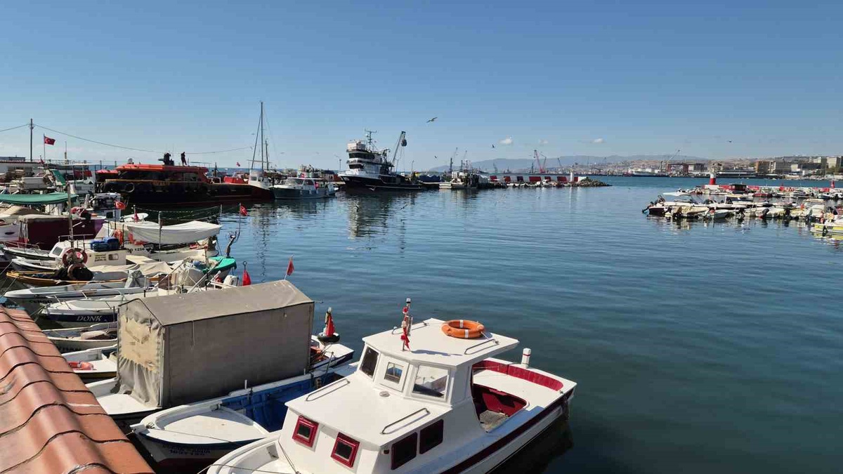 Tekirdağ'da Sezonun İlk Palamutları Tezgahlarda: Tanesi 100-150 TL'den Satışa Sunuldu