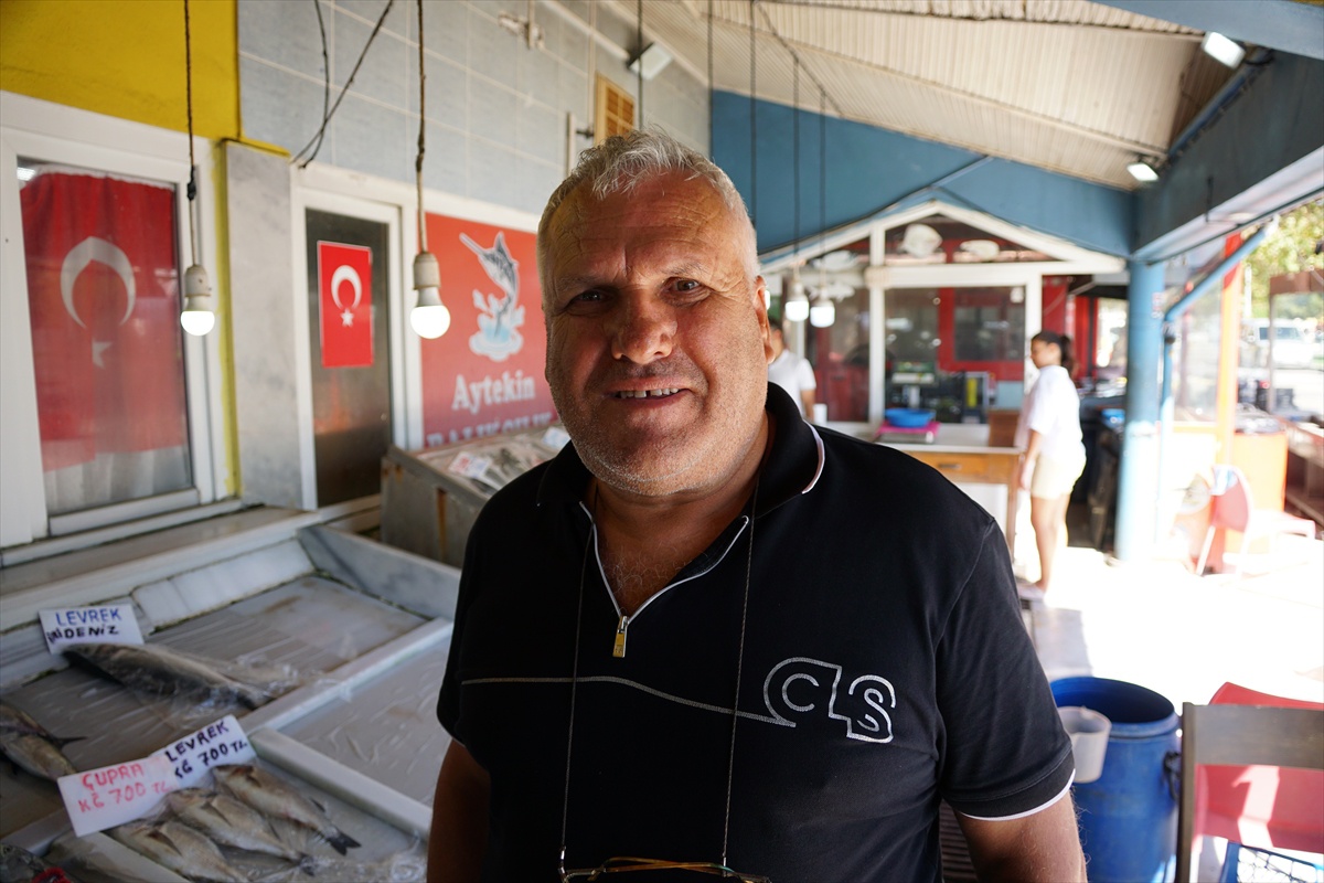 Tekirdağ'da av yasağının sona ermesiyle tezgahlarda palamut bolluğu, tanesi 150 liradan satılıyor