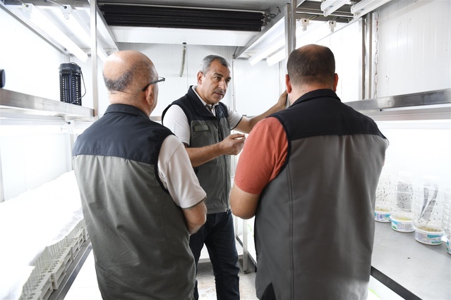 Mersin'deki Davultepe Laboratuvarında 2026'da 40 bin faydalı böcek üretildi