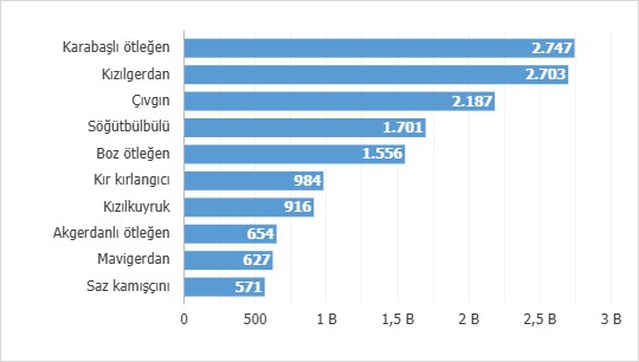 2025'te 179 farklı türden 34 bin 360 kuş halkalandı