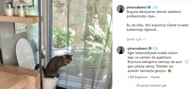 Pınar Sabancı’nın kedisi öyle bir şey yaptı ki! gören şaştı kaldı