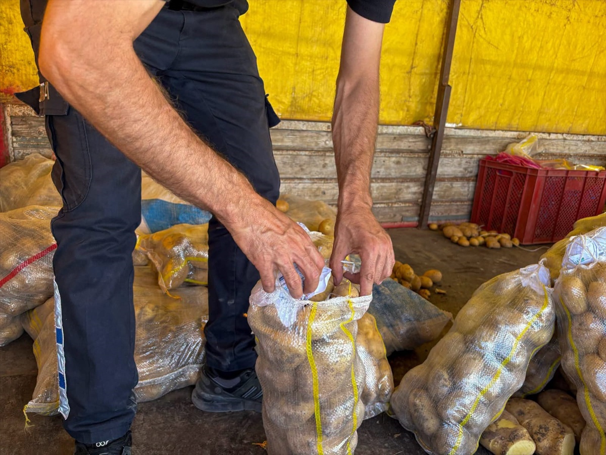 Afyonkarahisar Sandıklı\'da yöresel ürün satışı yapılan noktalarda denetimde 4 satıcıya ceza