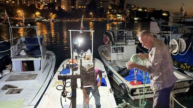 Düzce'nin Akçakoca ilçesinde palamut bolluğu: tekneler kasalar dolusu balıkla dönüyor, fiyatlar düştü