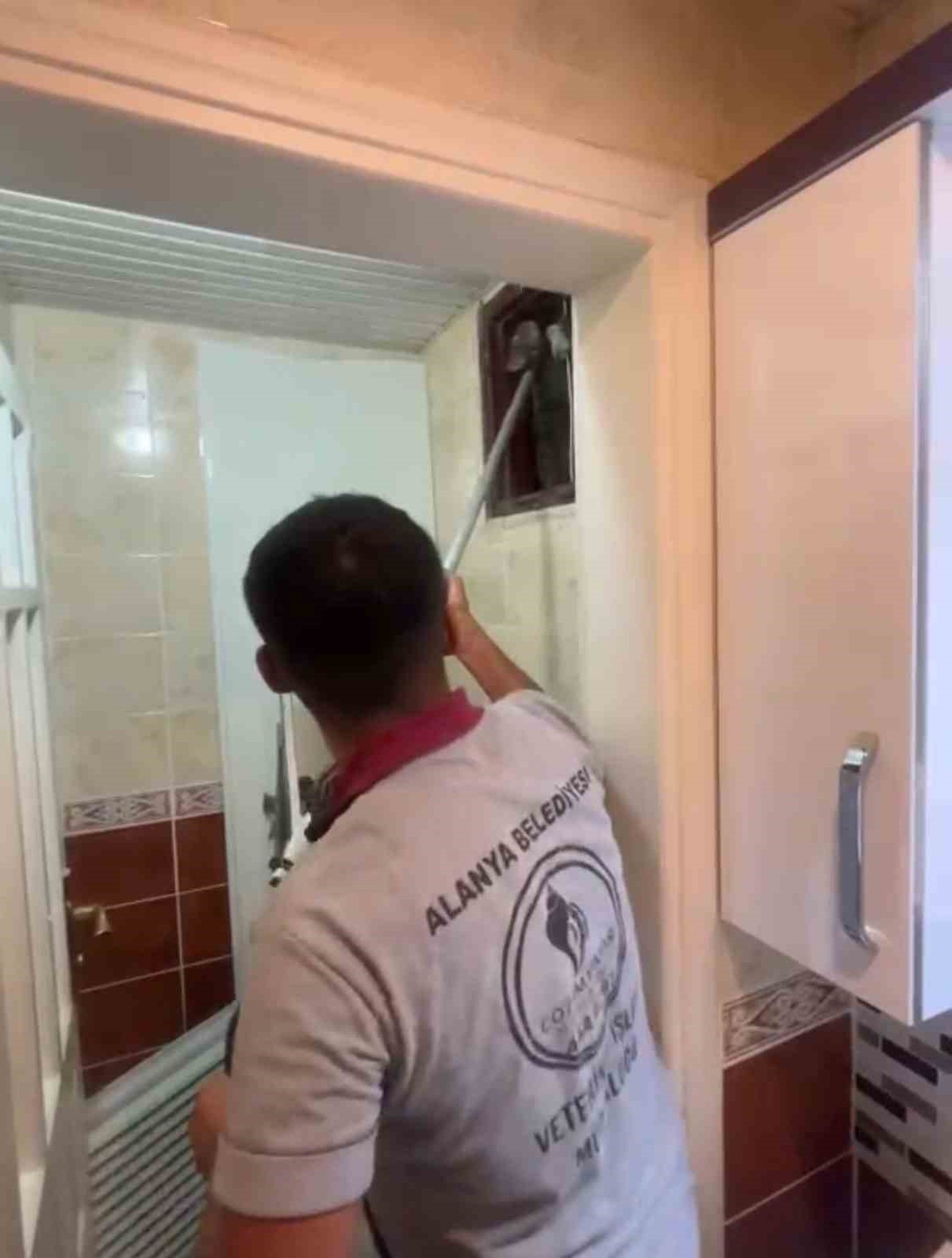 Alanya’da havalandırma bacasına düşen kedi ekipler tarafından kurtarıldı