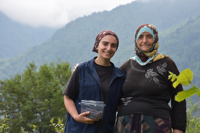 Trabzon'da üniversiteli genç kadın, 1300 rakımdaki 250 maviyemiş fidanıyla yıllık 300 kg ürün ticaretine atıldı