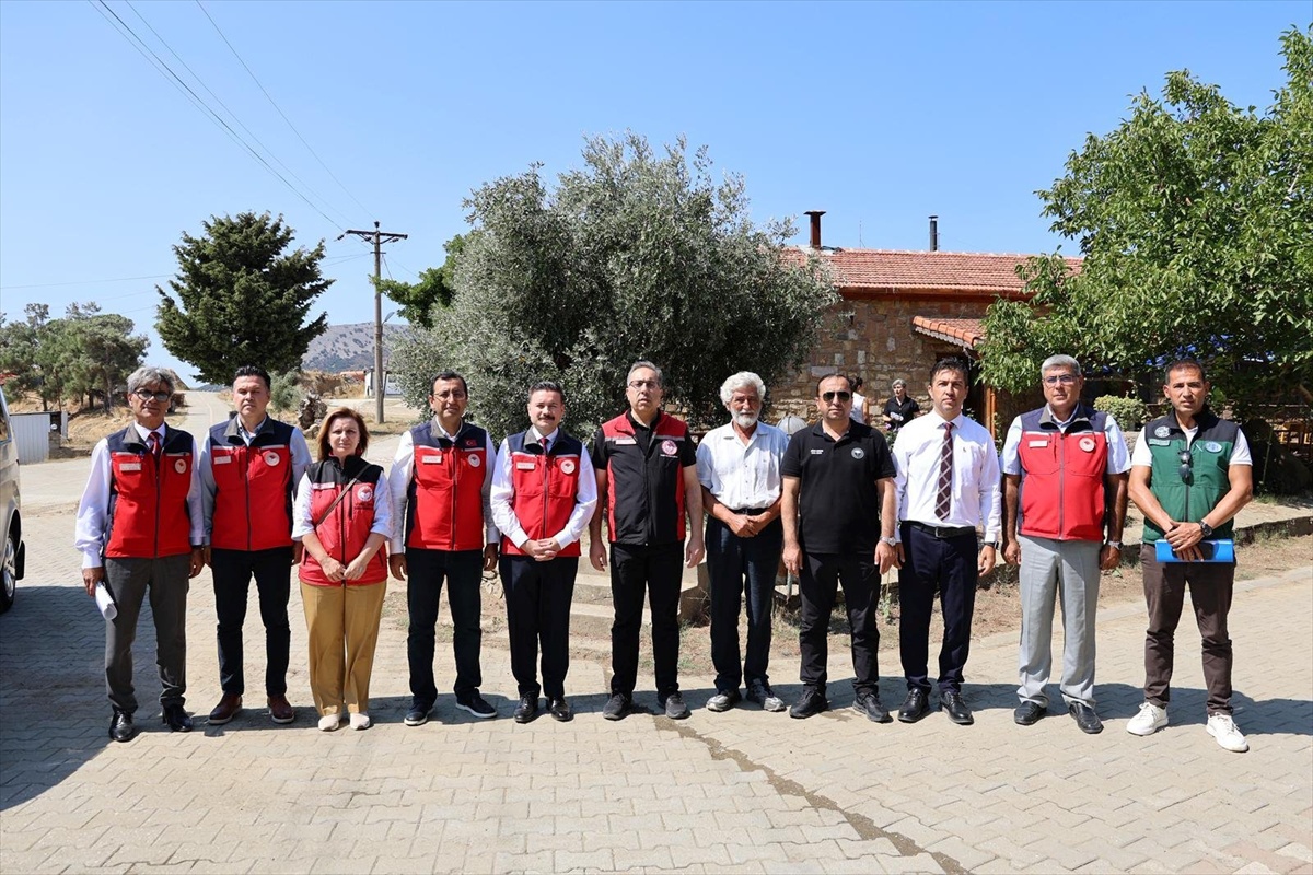 Bakan Yardımcısı Gümen, Gökçeada'da organik üzüm hasadına katılıp üreticilerle buluştu