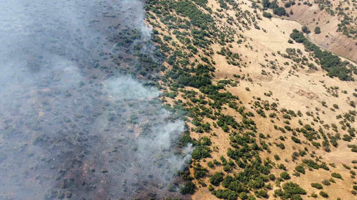 Elazığ Karakoçan'da orman yangınına müdahale için 45 orman işçisi sevk edildi
