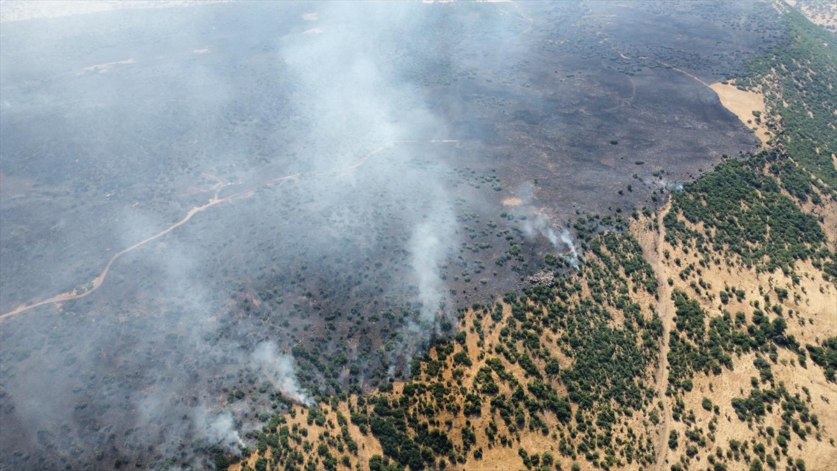 Elazığ Karakoçan'da örtü yangını ormana sıçradı; 61 personel müdahale ediyor