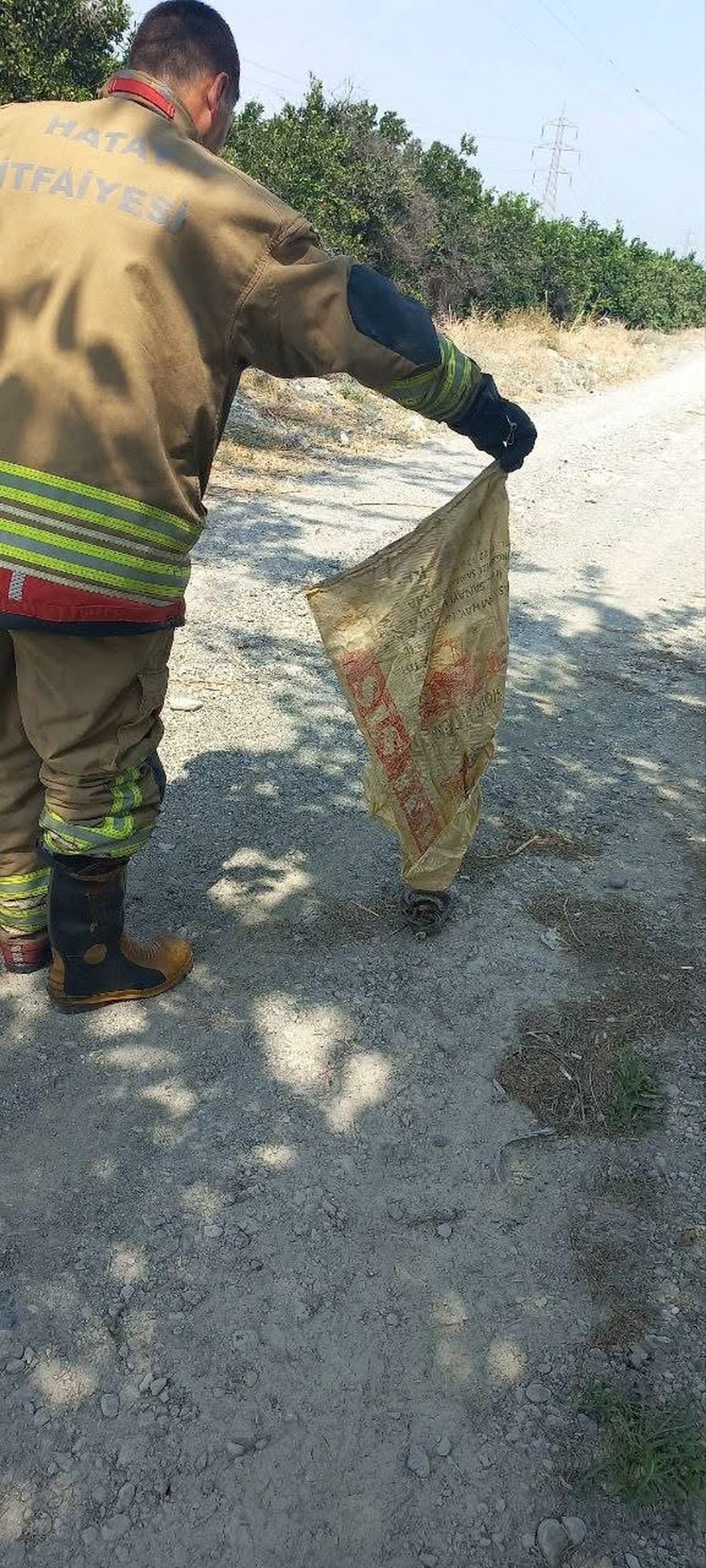 Hatay'ın Erzin ilçesinde evde görülen yılan itfaiye ekiplerince yakalanıp doğaya salındı