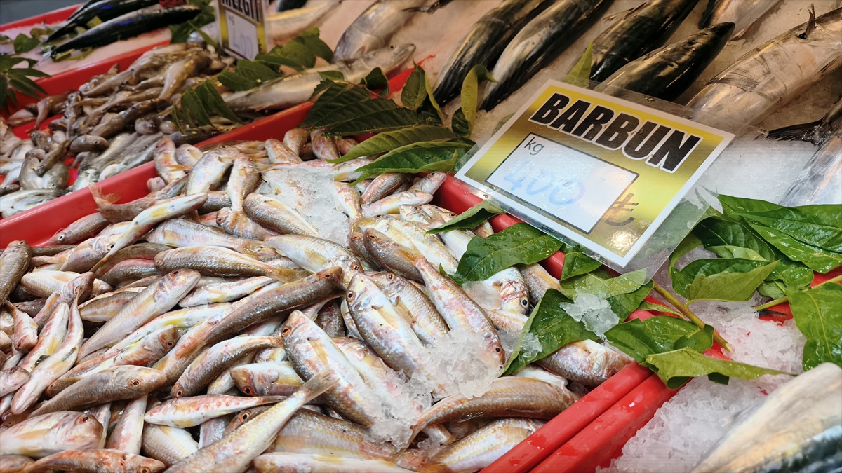 Safranbolu'da balık bolluğu tezgahları hareketlendirdi, hamsinin kilosu 300 liradan satılıyor