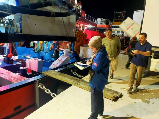 Karadeniz'de palamut sezonu hareketliliği İnebolu Limanı'nda başladı