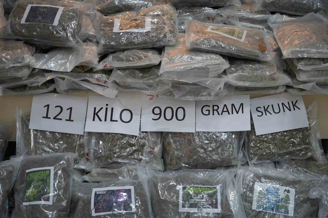 Hamzabeyli Sınır Kapısı'nda tırda 121 kilo 900 gram skunk ele geçirildi, zanlı tutuklandı